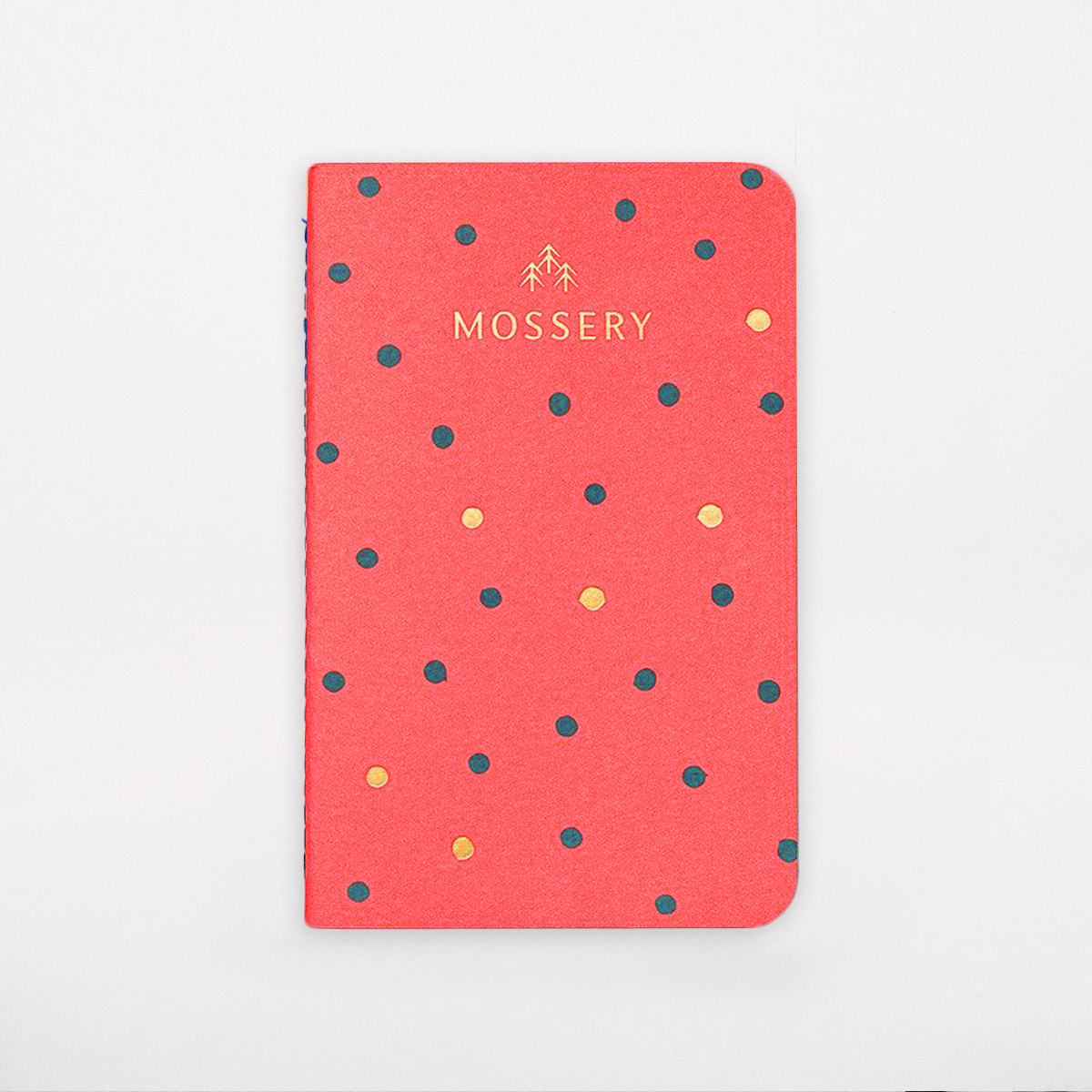 watermelon dot notebook